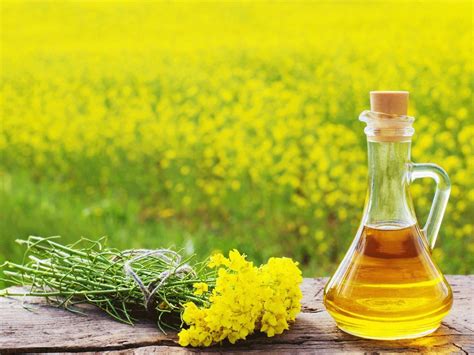 Our sarso oil import data solutions meet your actual import requirements in quality, volume. Know the benefits of mustard oil or sarson ka tel for your ...