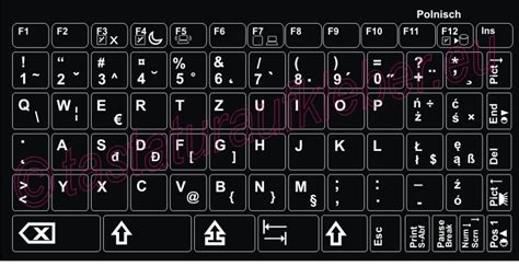 Kʰlavi̯aˈtʰuːɐ̯] (von lateinisch clavis ‚schlüssel', im übertragenen sinne ‚taste'; Tastaturaufkleber für PC-Tastatur,diverse Sprachen,Farben - TASTATURAUFKLEBER für Ihren PC ...