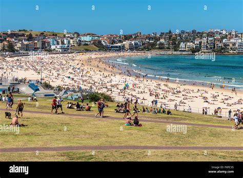 People Sunbathing On Bondi Beach Hi Res Stock Photography And Images