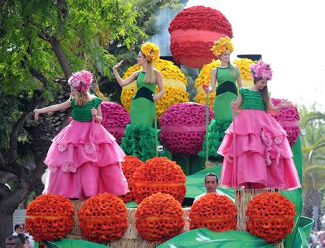 Pictures From Madeira Flower Festival