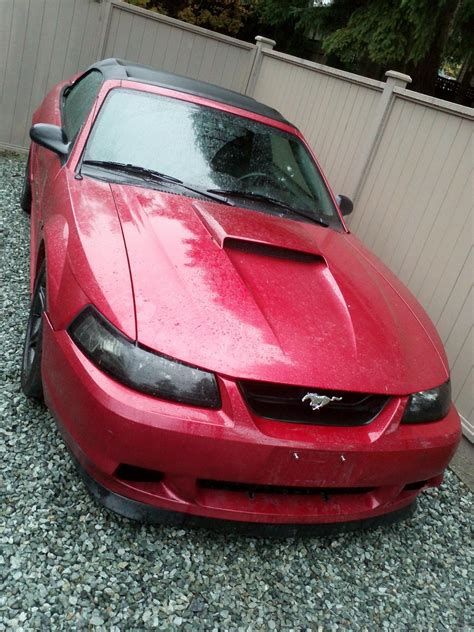 Front Bumper Type Ford Mustang Forum