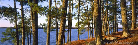 Kabetogema Lake Gary Alan Nelson Photography