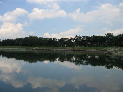 Macritchie reservoir is known to be one of the hardest legal fishing ground in singapore but nothing will stop fred and shi. Fly Fishing Journal: Album - Bedok Reservoir