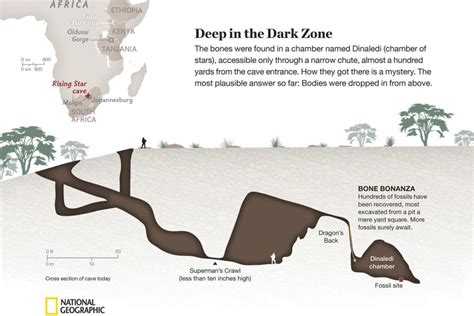 Meet Homo Naledi New Species Of Human Ancestor Discovered