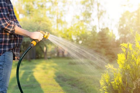 Lawn Watering Tips Franks Lawn And Tree Service