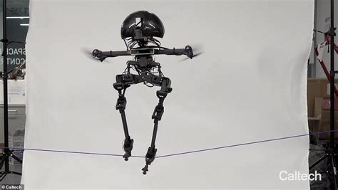 Meet Leo The Professional Slackliner Robot Built To Act Like A Drone