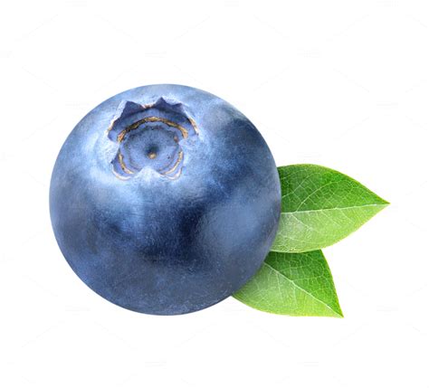 One Blueberry Isolated With Leaves ~ Food And Drink Photos On Creative Market