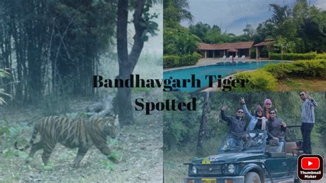 Bandhavgarh National Park Tiger Spotted Aranayak Resort Drone Shot