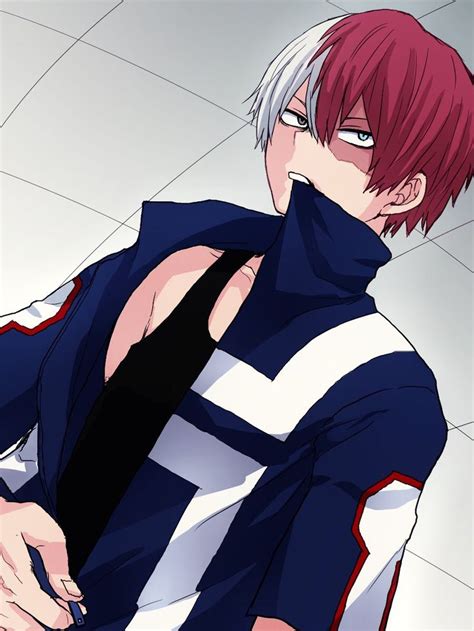 416 Best Todoroki Shouto Images On Pinterest My Hero Academia Anime