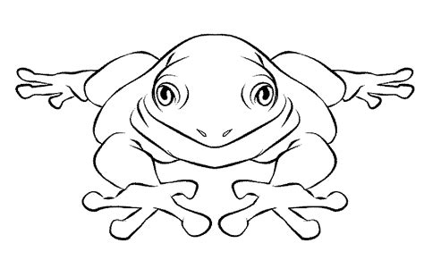 Print And Download Frog Coloring Pages Theme For Kids