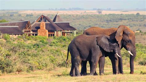 South Africa Holidays Luxury Holidays To South Africa With Hays Faraway