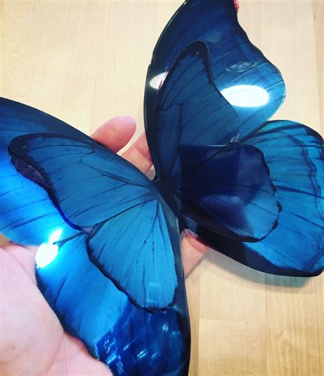 Huge Blue Rainbow Butterflies 3d Acetate Butterflies Ombre Etsy