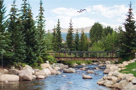Blue River Breckenridge Colorado In Summer By Angela Lumsden Summer