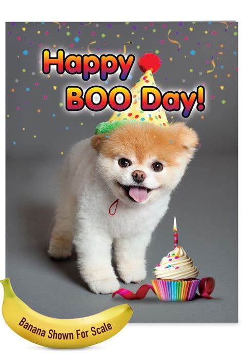 Happy Boo Day Funny Birthday Extra Large Paper Card