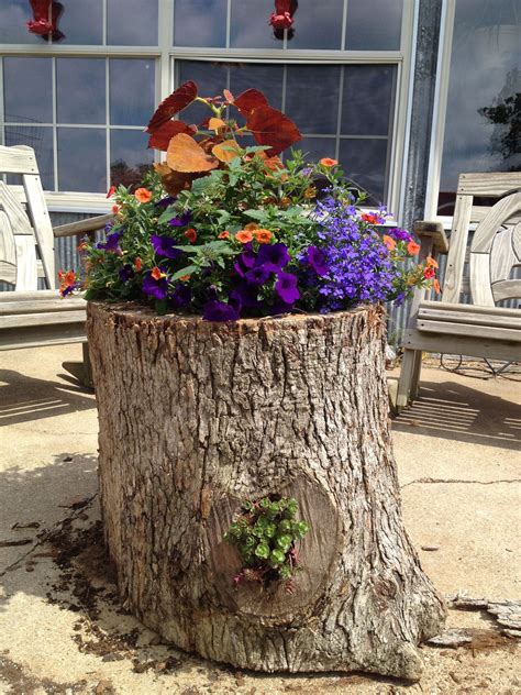 Select the 1 x 10 x 10' material: Planter made from a hollow log | Tree stump planter, Log ...