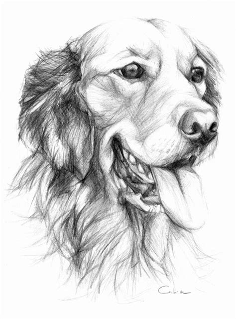 Items Similar To Golden Retriever Pet Portrait Original