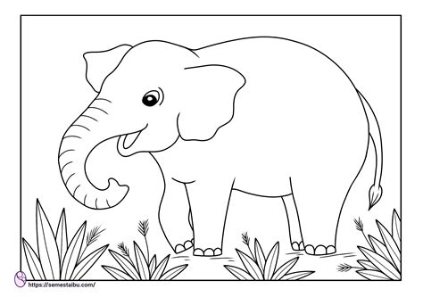 Sketsa Hewan Gajah