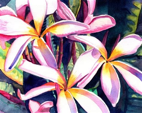 Plumeria Watercolor Print From Kauai Hawaii Pink Frangipani Art