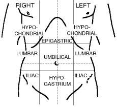 The quadrants are defined by the transumbilical and medial planes. Anatomy and Physiology - Wiki - Scioly.org