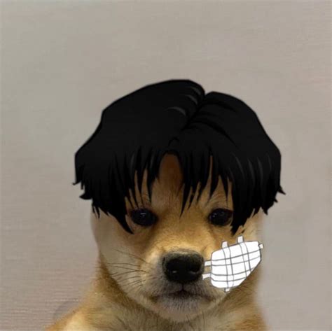 Dog Pfp Meme Anime