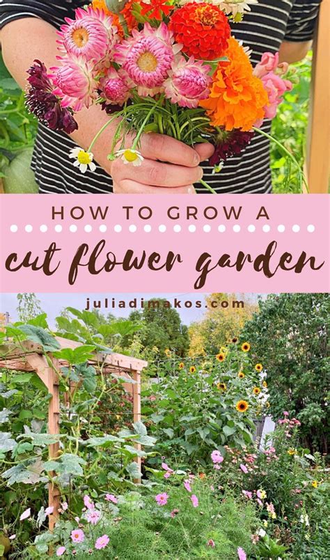 How To Create A Simple Beginner Cut Flower Garden Artofit