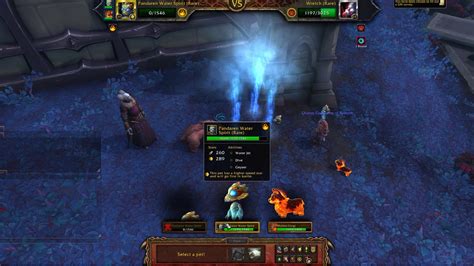 Warcraft Addius The Tormentor Elemental Pet Battle Shadowland YouTube