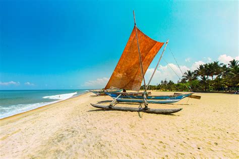 10 Best Things To Do In Negombo Western Province Negombo Travel