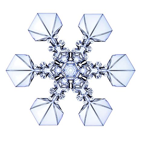 1000 Images About Unique Snowflakes On Pinterest
