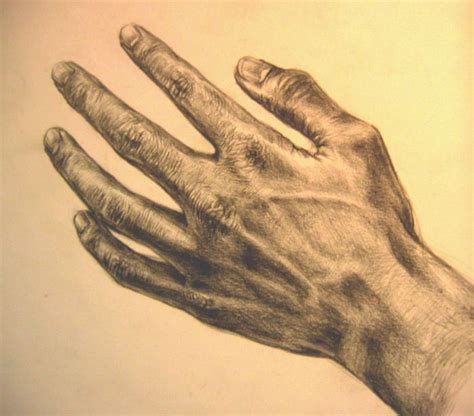 Italian Renaissance Hands Mostly Leonardo Da Vinci Life Drawing Da