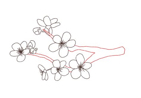 How To Draw Cherry Blossoms Design School