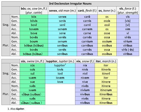 3rd Declension Irregular Nouns Dickinson College Commentaries