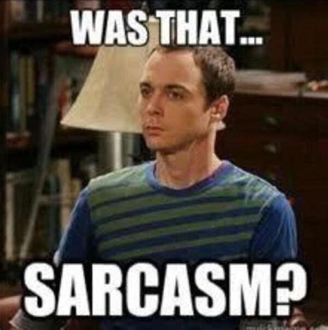 The Big Bang Theory Sheldon Was That Sarcasm Work Sarcasm Sarcasm Meme Jim Parsons