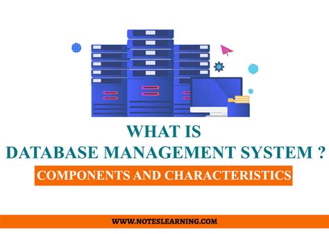 Database Management System Components And Characteristics