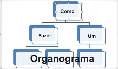 Como Fazer Um Organograma Organograma