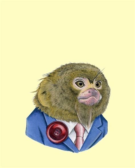 Animal Illustration Monkey Art Pygmy Marmoset