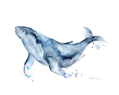 Humpback Whale Walter Watercolor Art Print Under The Sea Easy