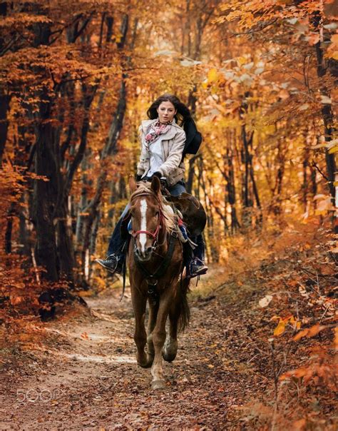 Autumn Symphony By Tanya Markova Nya Sh Inaam Horse Photography