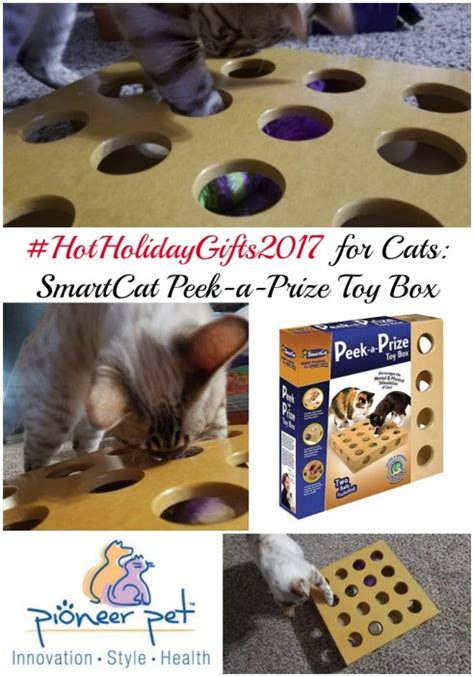 Best Ts For Cats Smartcat Peek A Prize Toy Box Motherhood Defined