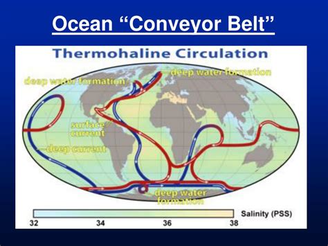 Ppt Oceanic Zone Powerpoint Presentation Free Download Id1703292