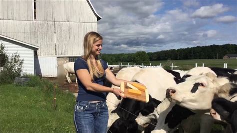 Maple Ridge Farms Cheese Packages Dairy Cow Approved Youtube