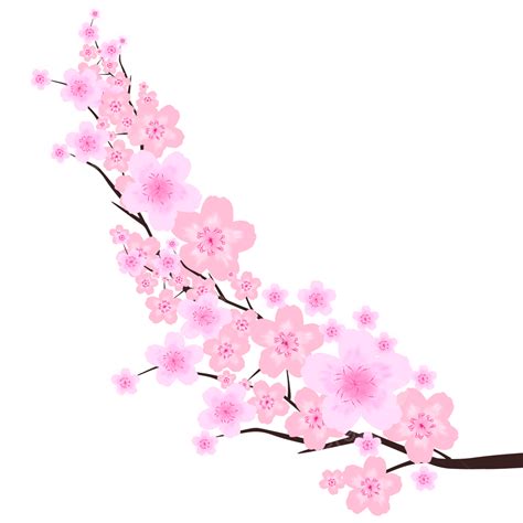 Spring Cherry Blossoms Vector Hd Png Images Cherry Blossom Light Pink Flowers Spring Bough Twig