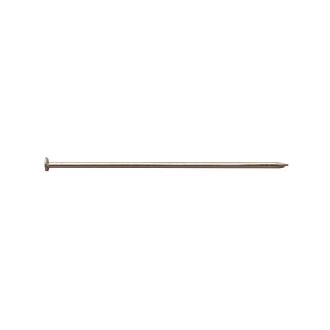 Dissecting Optical Pins 50mm Pack 100 Delta Educational