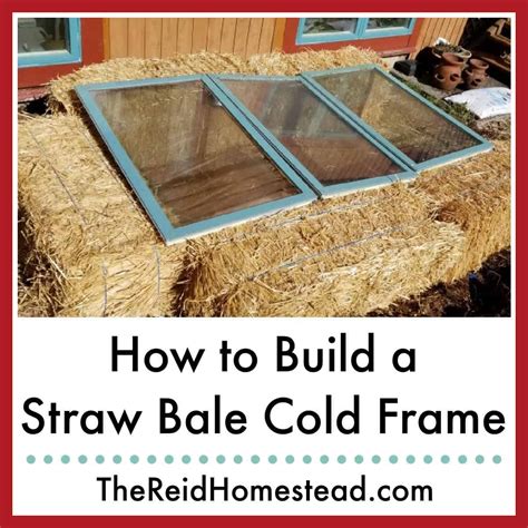 Learn How To Build This Simple Diy Cold Frame Using Straw Bales To