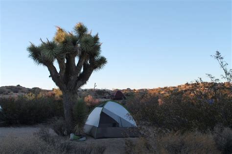 50 Amazing Spots For Camping In Southern California No Back Home