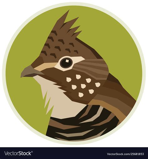 Ruffed Grouse Birds Collection Royalty Free Vector Image