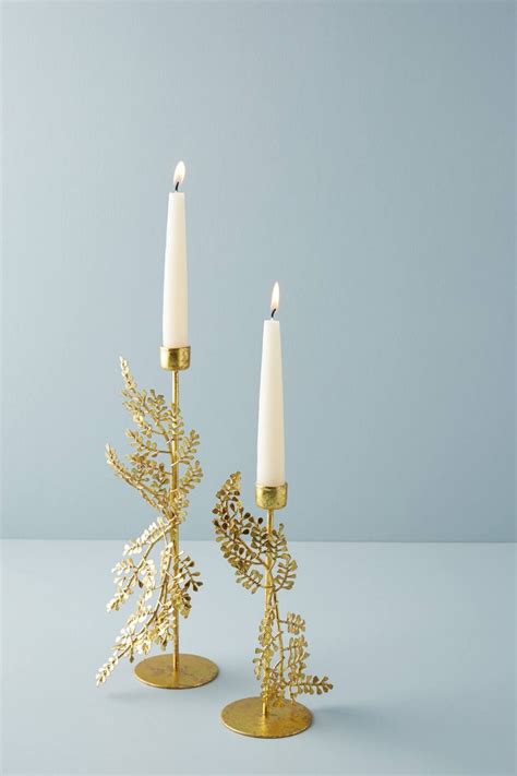 Golden Fern Candlestick Taper Candle Holder Brass Katie Considers