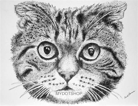 Original Cat Pointillism Pen And Ink Drawing Free Shipping Etsy