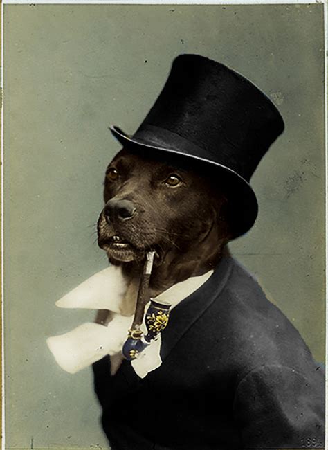 Old Money Dog Meme