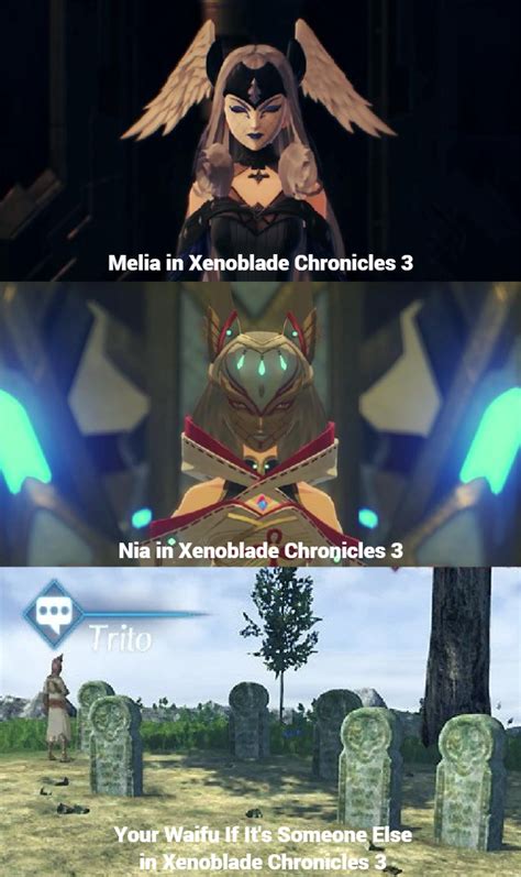 Except Maybe The Functionally Immortal Blade Women Xenoblade