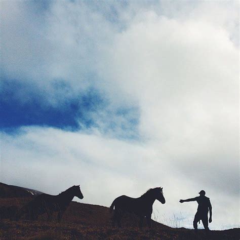 Wild Horses Of Unalaska Photo Beatrizbythesea Aksalmonsisters